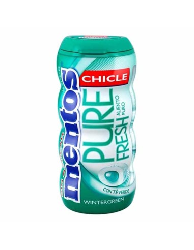 [AR00872] MENTOS GUM WINTER GREEN 30 GR